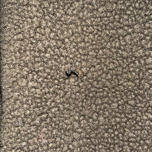 Men’s Columbia Large 3/4 Zip Pullover Jacket - Picture 3 of 5